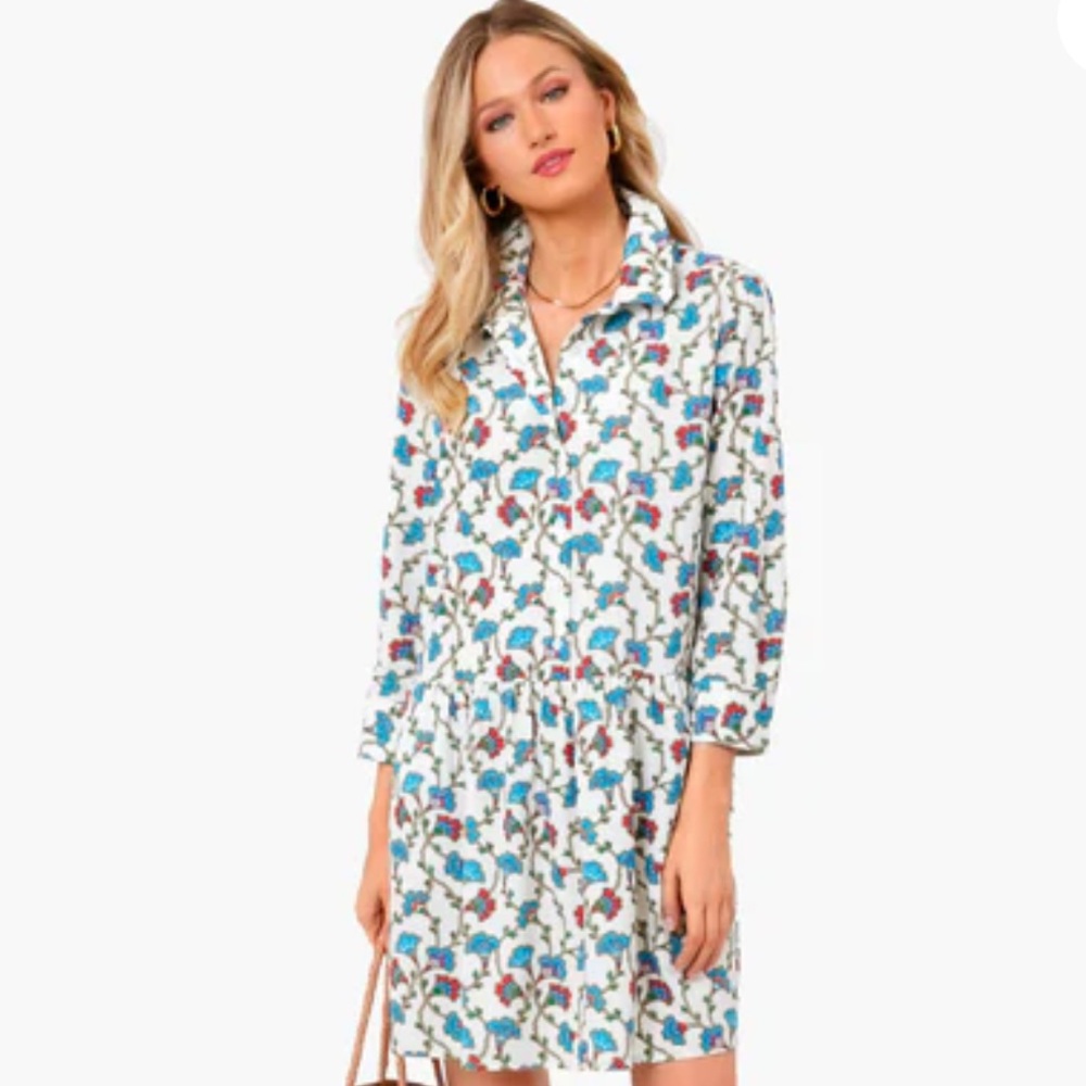 Tuckernuck Summer Vines Hayes Dress